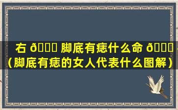 右 🐋 脚底有痣什么命 🐋 格（脚底有痣的女人代表什么图解）